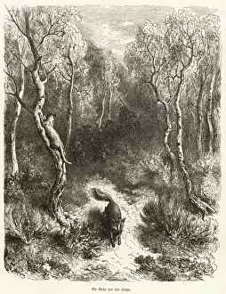 Die Katze und der Fuchs 1847 ist falsch, die korrekte Übersetzung lautet Die Katze und der Fuchs (C1864)