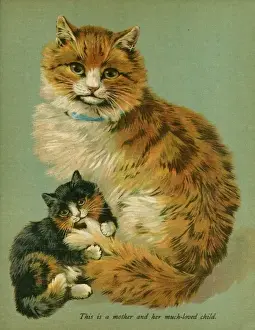 Ginger Kitten Drucke: Cat and her Kitten