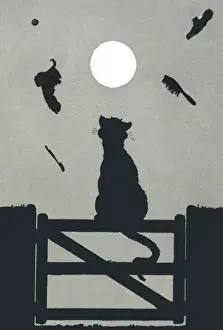 Die Katze sitzt auf dem Zaun.