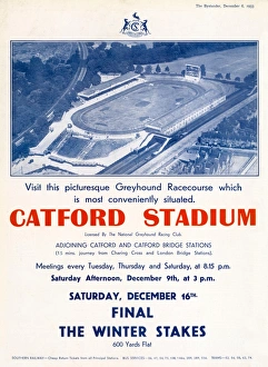 Katzbrunnen-Stadion-Werbung