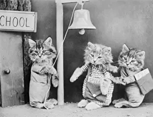 Vintage Cat Illustrations Drucke: Cats Going to School