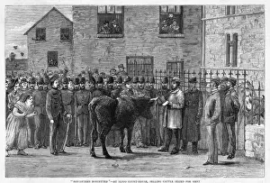 Charles Stewart Parnell Image Drucke: Cattle Seized