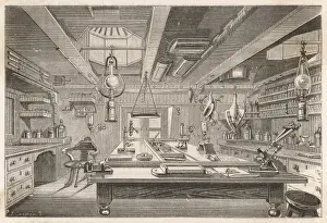Victorian Era Marine Biology Drucke: Challenger / Zoo Lab