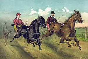 Equestrian Sports Illustration Drucke: A Champion race