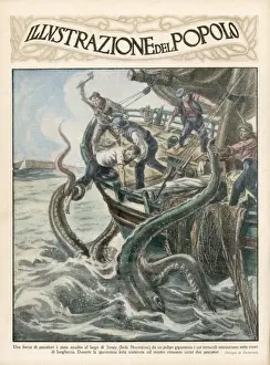 Inseln der Channel, Riesenquiddel