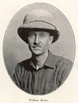 Charles Williams Drucke: Karl Beibe