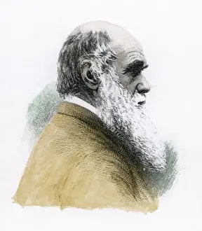 Karl Darwin