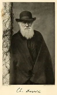 Drucke von Karl Darwin Naturforscher Charles Darwin Drucke: Karl Darwin in der Spalte