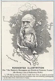 Charles Darwin Drucke: Karl Darwin als Baumkletterender Anthropoide