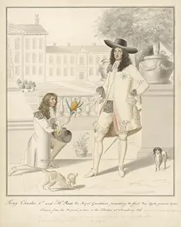 Karl der Zweite Ananass