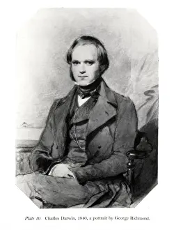 Charles Darwin Drucke: Charles Robert Darwin