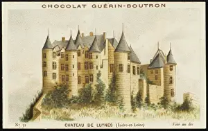 Loire Valley Castles Drucke: Chateau De Luynes