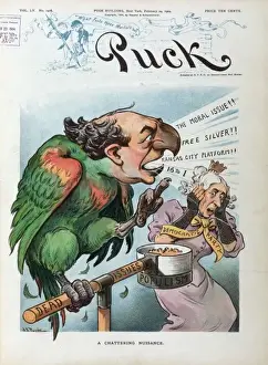 William Jennings Bryan Cartoon Drucke: A chattering nuisance