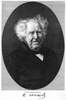 Old Age Portrait Drucke: Chevreul, Old Age