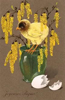 Spring Blossoms Drucke: Chick and Blossom
