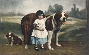 Saint Bernard Puppy Drucke: Child and St Bernards