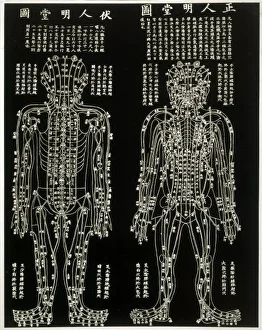 Chinesisches Akupunktur-Chart
