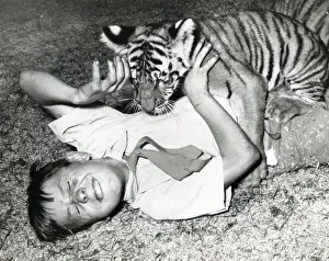Chippelfields Zirkus - Tiger - Kumar