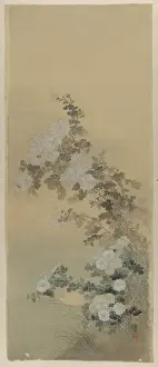 Antique Japanese Prints Online Drucke: Chrysanthemums