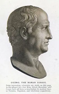 Cicerobust