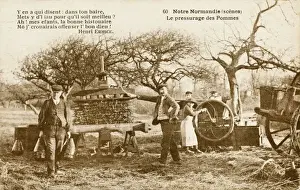 Zitronenpresse – Normandie