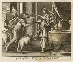 Ancient Greek History Drucke: Circe Makes Pigs