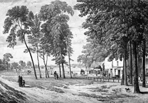 Drucke von Die gemeinsame Freude der Reiter, Kinderwagen und Hunde ... Datum: 1823 London Drucke: Klapham Commons