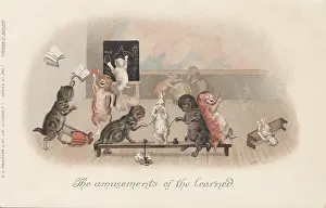 Klassenzimmerkatzen
