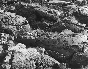 Agricultural Landscape Photography UK Drucke: Clay Soil Furrows