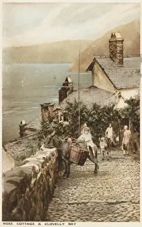 Cornwall Coastal Walks Drucke: Clovelly, Cornwall - Donkey on the cobbled path