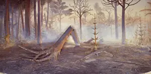 Geologisch Drucke: Kohlewald-Diorama