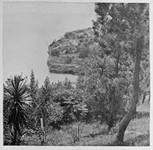 Caribbean Coastal Landscape Drucke: Coastal scenery