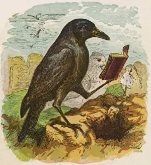 Drucke von Nach dem unglücklichen Tod von Kuckucksrobin liest der Amsel die Beerdigungsdienst Kinderzimmer Drucke: Kuckucksrobin 1