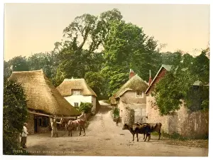 Kuckingen Hütte, Torquay, England