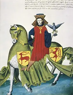 Drucke von Kapodalist, Giovanni Francesco (15th Jahrhundert - 15th Jahrhundert). Kapodilista Codex . 1434 Carlotus Capodilista de Transelgardi, Edler der Linie Capodilista, in Falconer-Kleid gekleidet Padua Drucke: Codex Capodilista, 1442 Falke