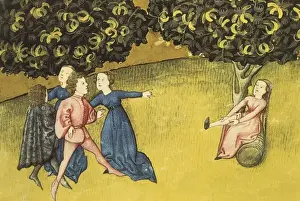 Gothic Art Miniature Painting Drucke: Codex granatensis, c. 1400. Tacuinum sanitatis. Persimmon