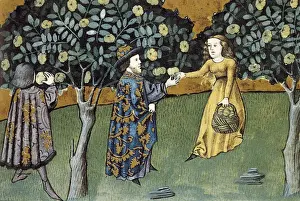 Gothic Art Miniature Painting Drucke: Codex granatensis, h. 1400. Tacuinum sanitatis. Quince