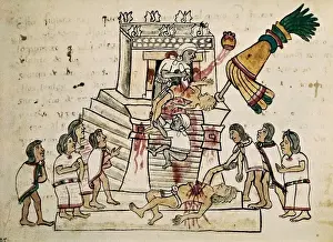 Aztec Human Sacrifice Drucke: Codex Magliabecchi
