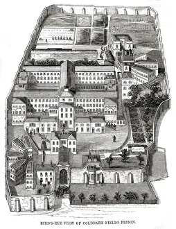 London Workhouse History Drucke: Coldbath Fields Prison, Clerkenwell