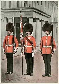 Drucke von Kältesträfleger, älteste Regiment im Regulären Heer in kontinuierlicher aktiver Dienst. Datum: 1894 Schwarzbär Drucke: Gardeeküren