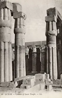 Luxor Temple Columns Drucke: Columns of the Luxor Temple, Egypt