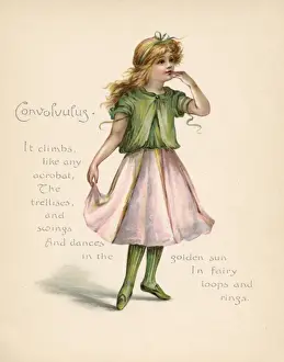 Vintage Floral Illustrations Drucke: Convolvulus / Language of Flowers