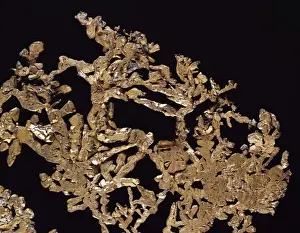 Natural History Museum Specimens Drucke: Copper