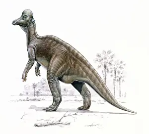 Ausgestorben Drucke: Corythosaurus