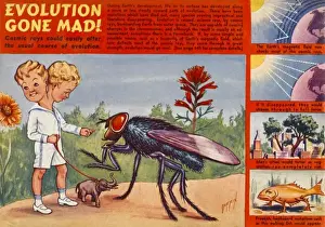 Evolutionary Science History Drucke: Cosmic Mutation