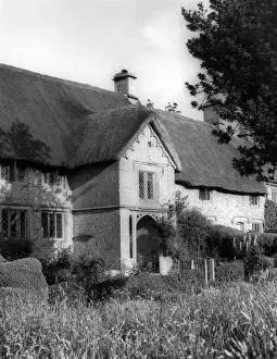 Village Life In The Cotswolds Drucke: Cotswold Thatch