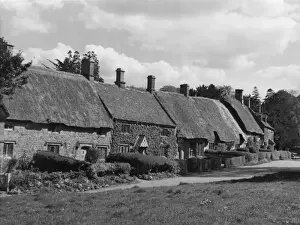 Thatched Cottages Drucke: Cotswold Thatches