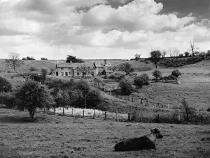 Gloucestershire Village Life Drucke: Cotswolds Scenery