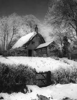 English Countryside In Snow Drucke: Cottage in the Snow
