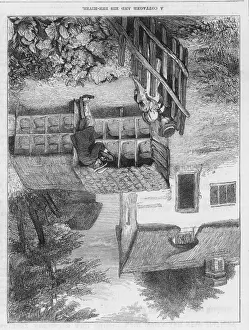 Kottenhäusler Honigbienen